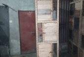 Wooden cages for sale by Hassan iqbal Hassan iqbal