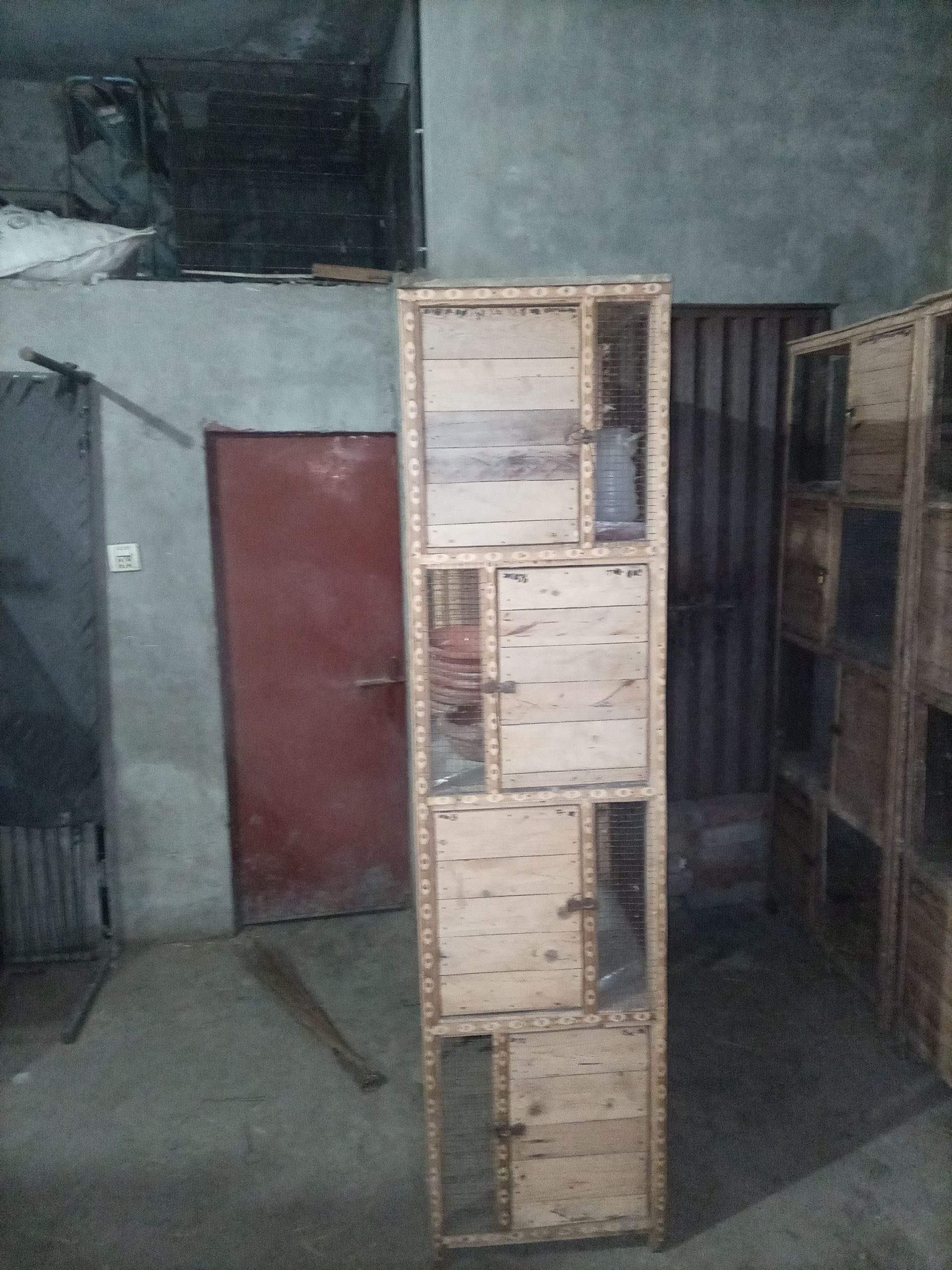 Wooden cages for sale by Hassan iqbal Hassan iqbal