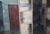 Wooden cages for sale by Hassan iqbal Hassan iqbal