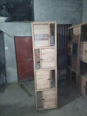 Wooden cages for sale by Hassan iqbal Hassan iqbal