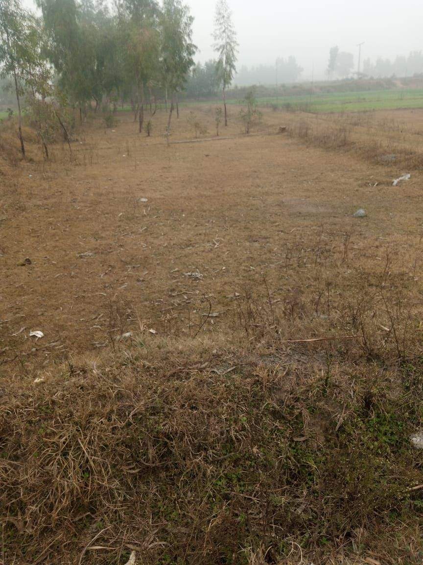 12 marla cornor plot in good location by Sohail shahid