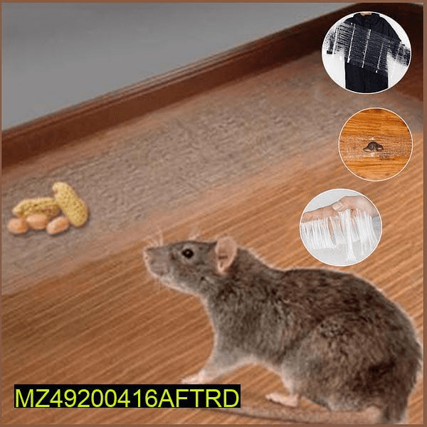Transparent rat trap magic carpet by Abdul Jabar