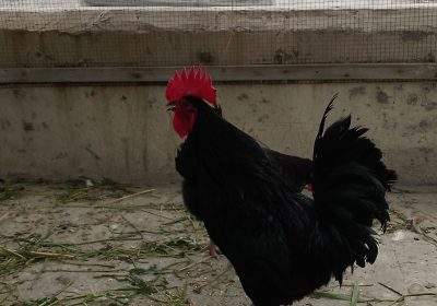 0ff32fdb-d38f-4320-8fd4-f39d27d30370