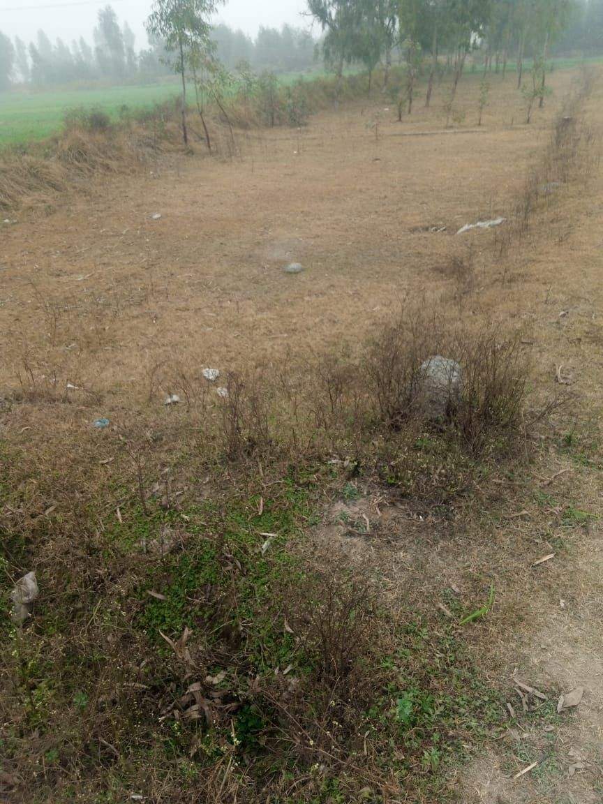 12 marla cornor plot in good location by Sohail shahid