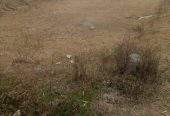 12 Marla cornor plot and good location in mardan city by Sohail shahid