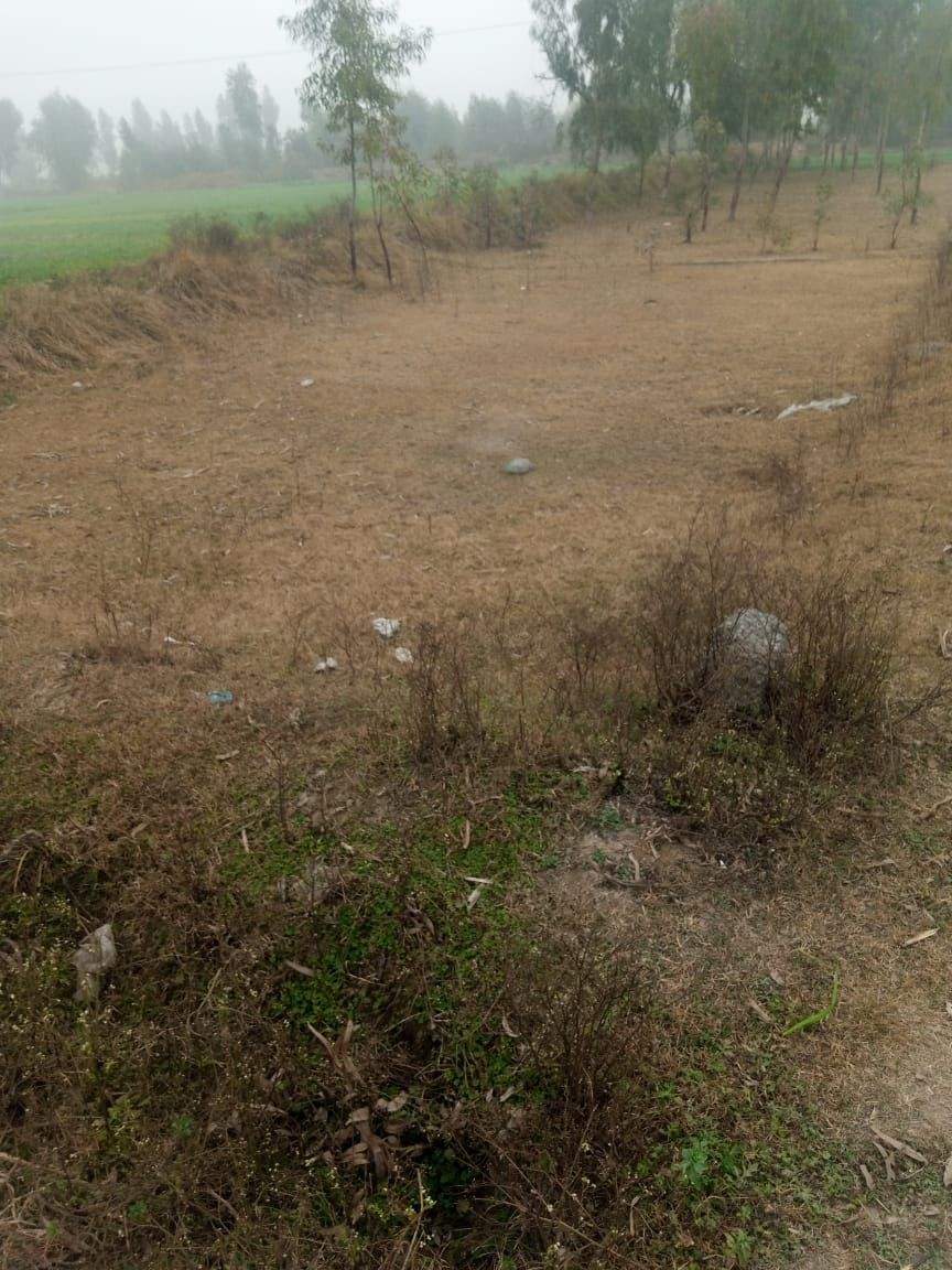 12 Marla cornor plot and good location in mardan city by Sohail shahid