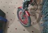 Bicycle by Rozi Shakeel