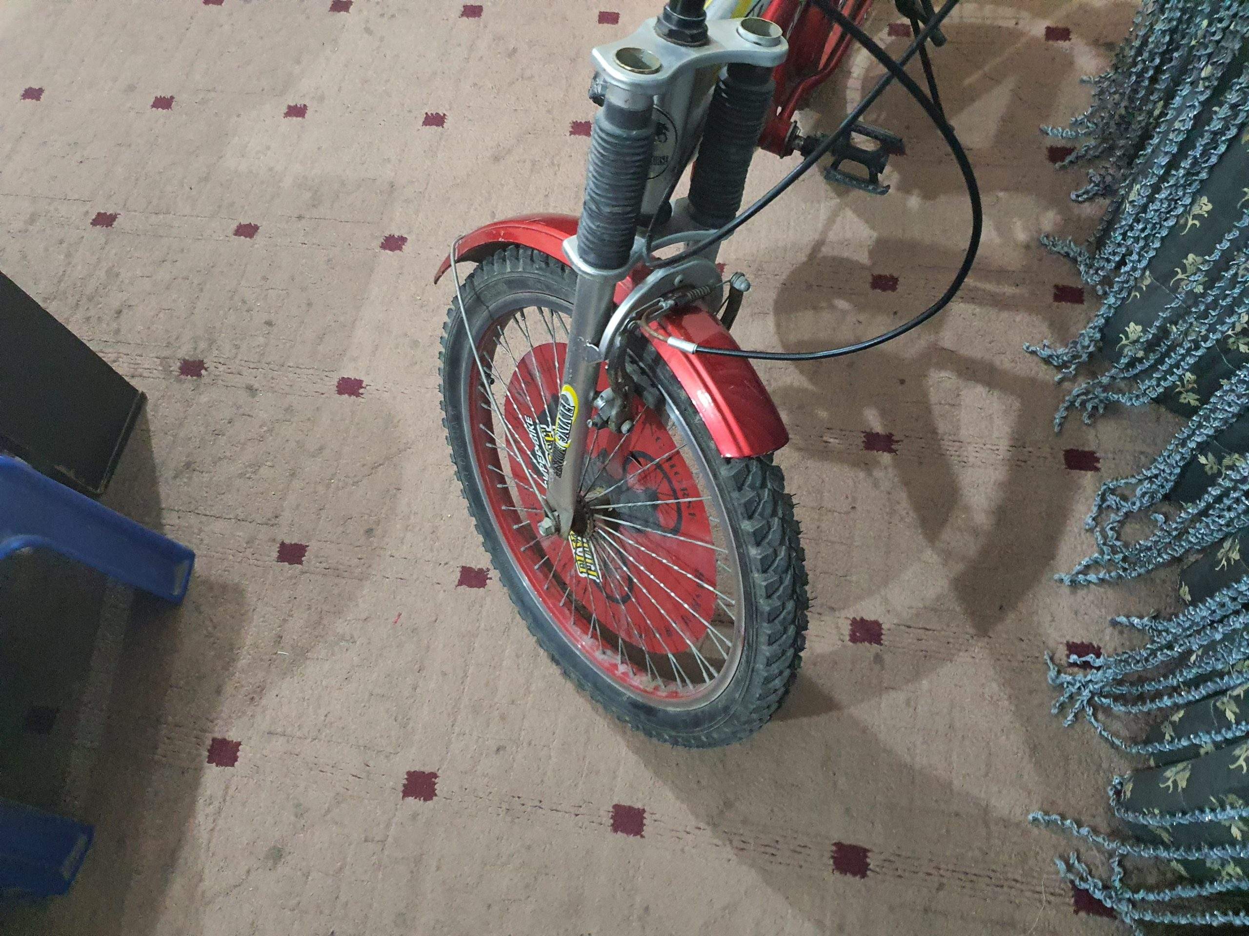 Bicycle by Rozi Shakeel