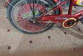Bicycle by Rozi Shakeel