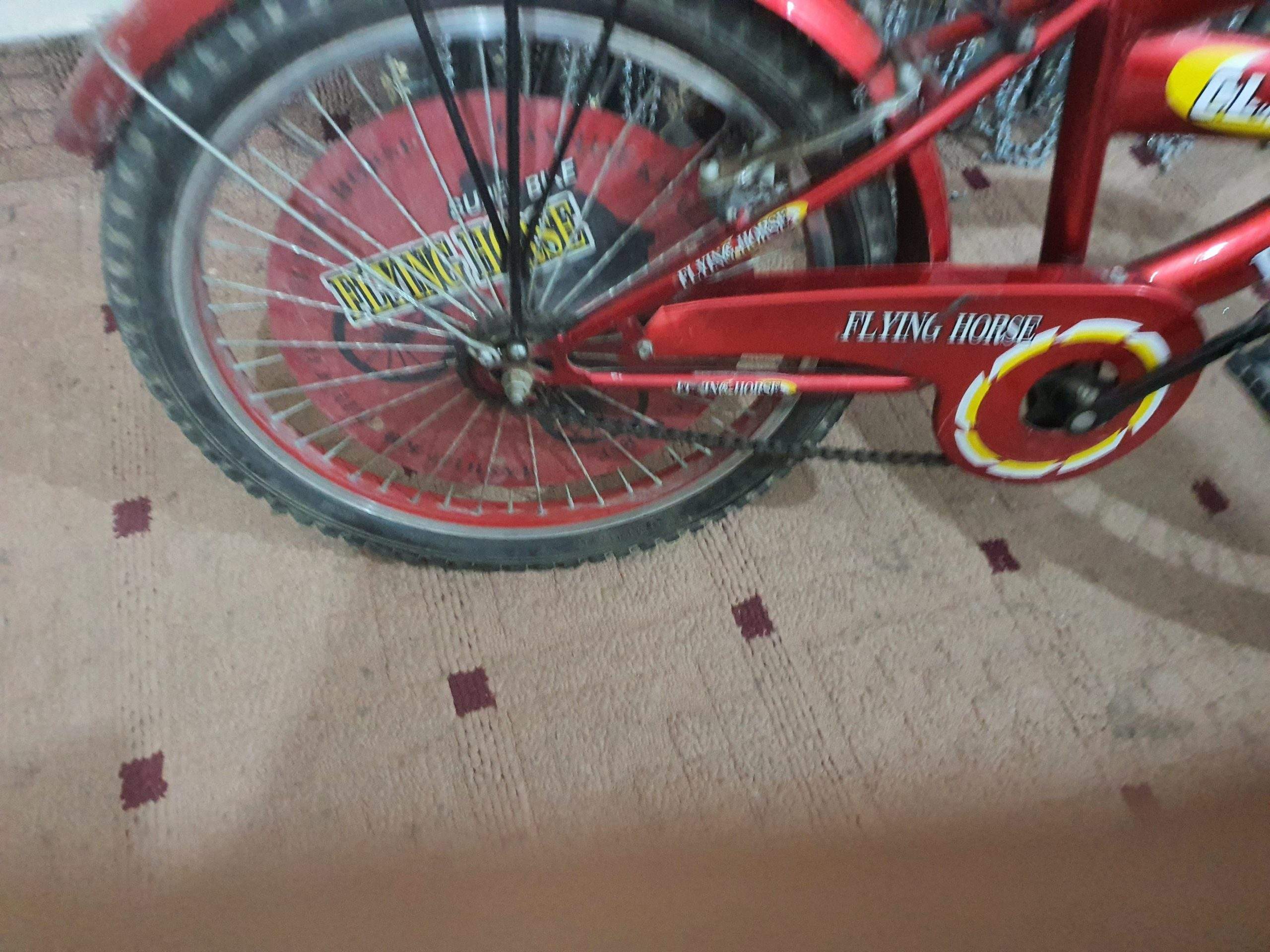 Bicycle by Rozi Shakeel