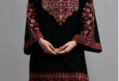 2 PCs Women’s Stitched Linen Embroidered Suit by Waleed Hassan