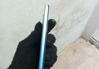 333a3915-cd9b-48fe-8493-6976cc706f0a