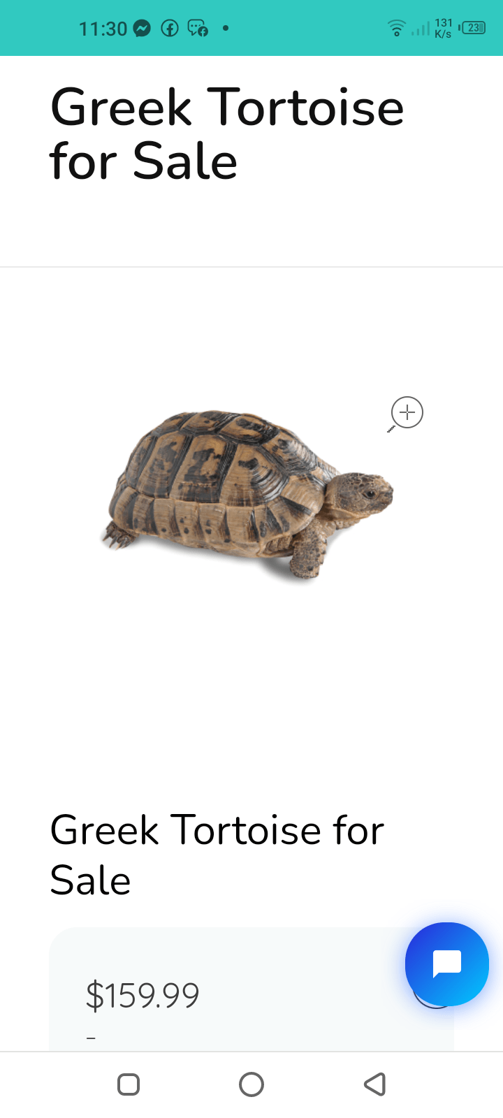 17000 by Saniyal Zaib