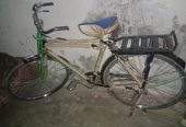 1 Month Used bicycle Condition 10/10 ha Urgent for sale by CH ABDUL REHMAN
