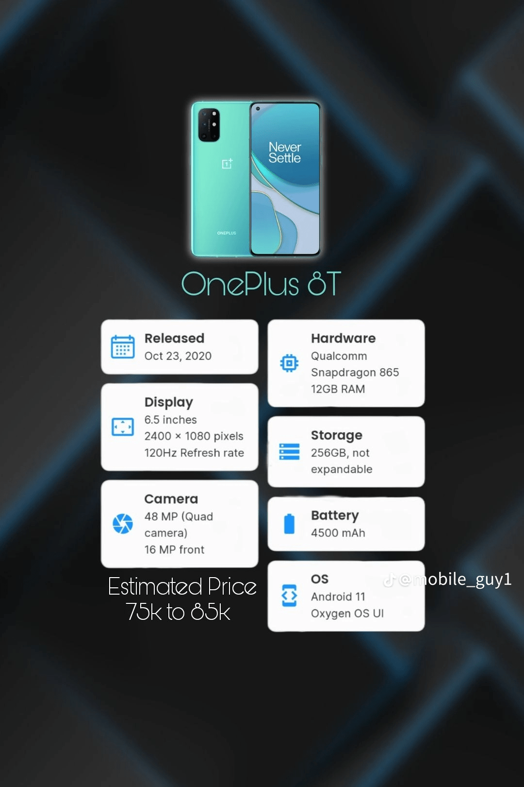 OnePlus 8 T 12+12/256 by Saim jillani gaming