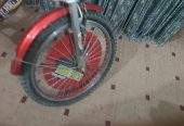 Bicycle by Rozi Shakeel