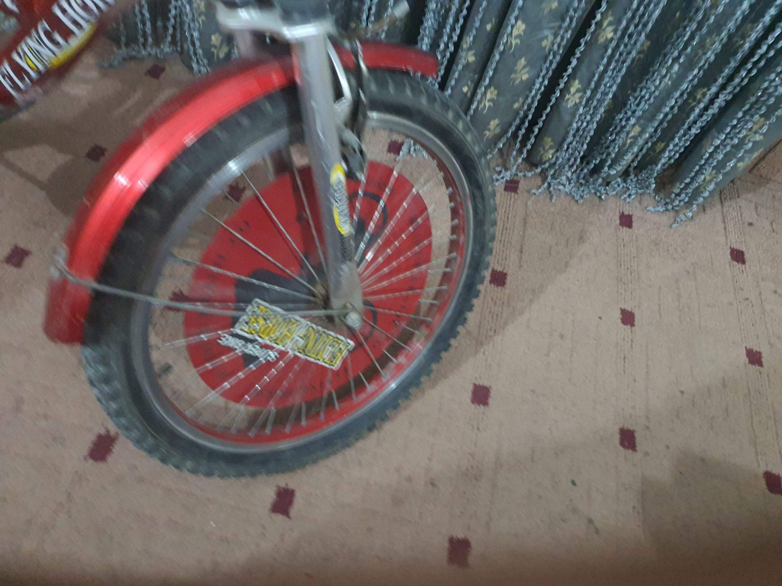 Bicycle by Rozi Shakeel