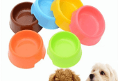 Pet food bowl Small by M. Bilal