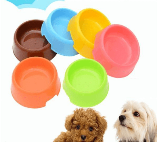 Pet food bowl Small by M. Bilal