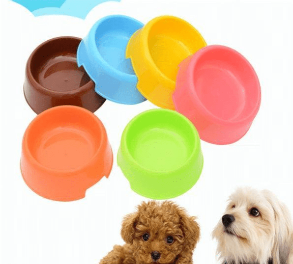 Pet food bowl Small by M. Bilal