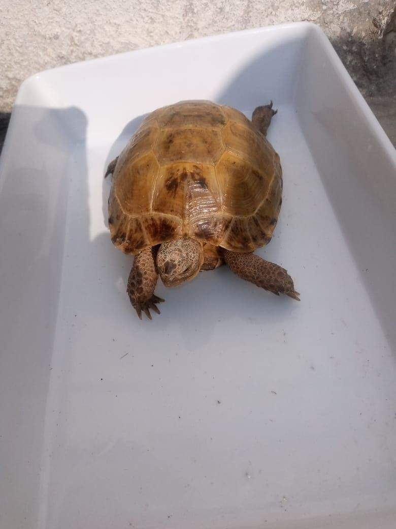 17000 by Saniyal Zaib