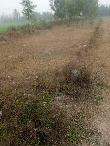 12 Marla cornor plot and good location in mardan city by Sohail shahid