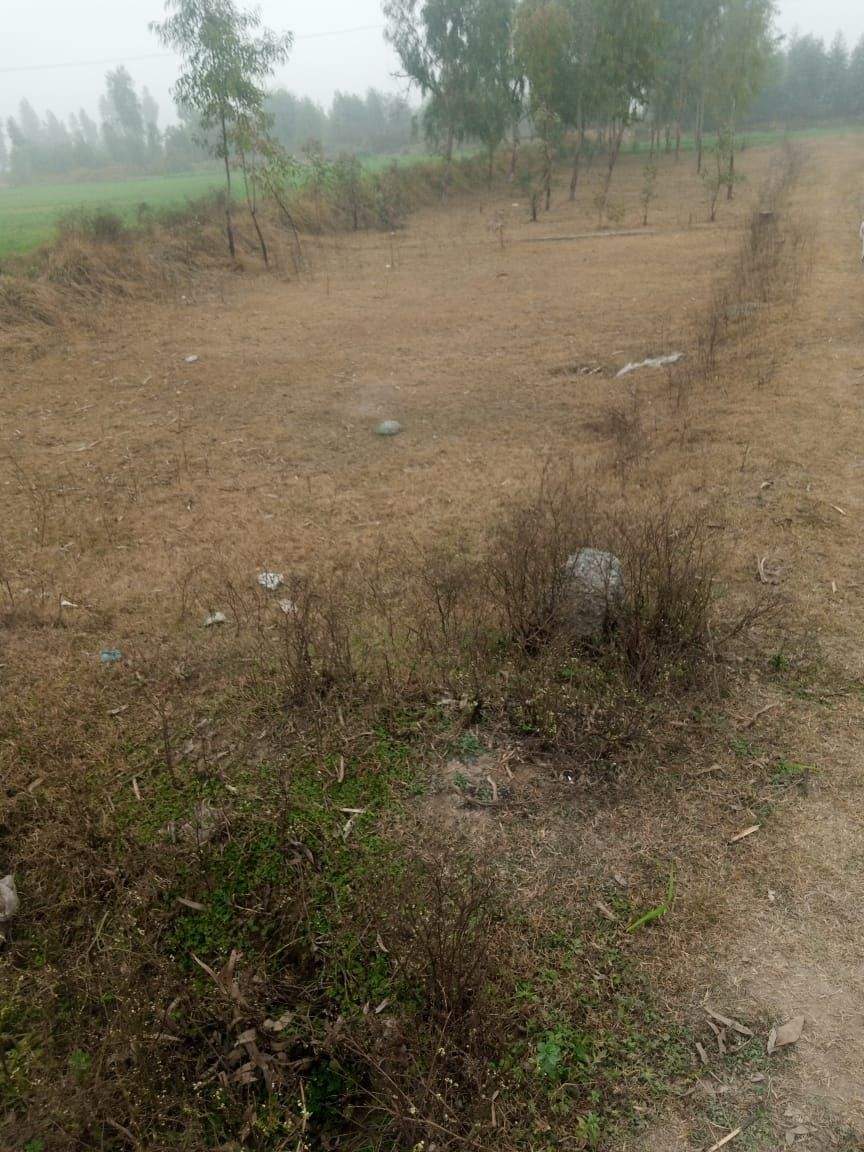 12 Marla cornor plot and good location in mardan city by Sohail shahid