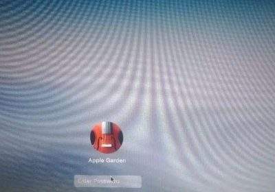 6fc93ca0-c440-4463-9da2-50da14c25625