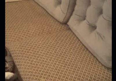 72262640-1525-4bd9-b476-0035e736be0c