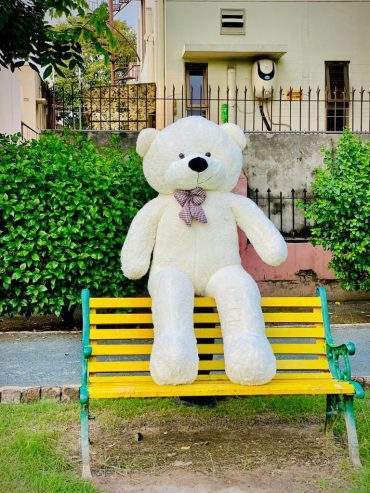 Teddy by Haris Khan