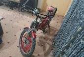 Bicycle by Rozi Shakeel