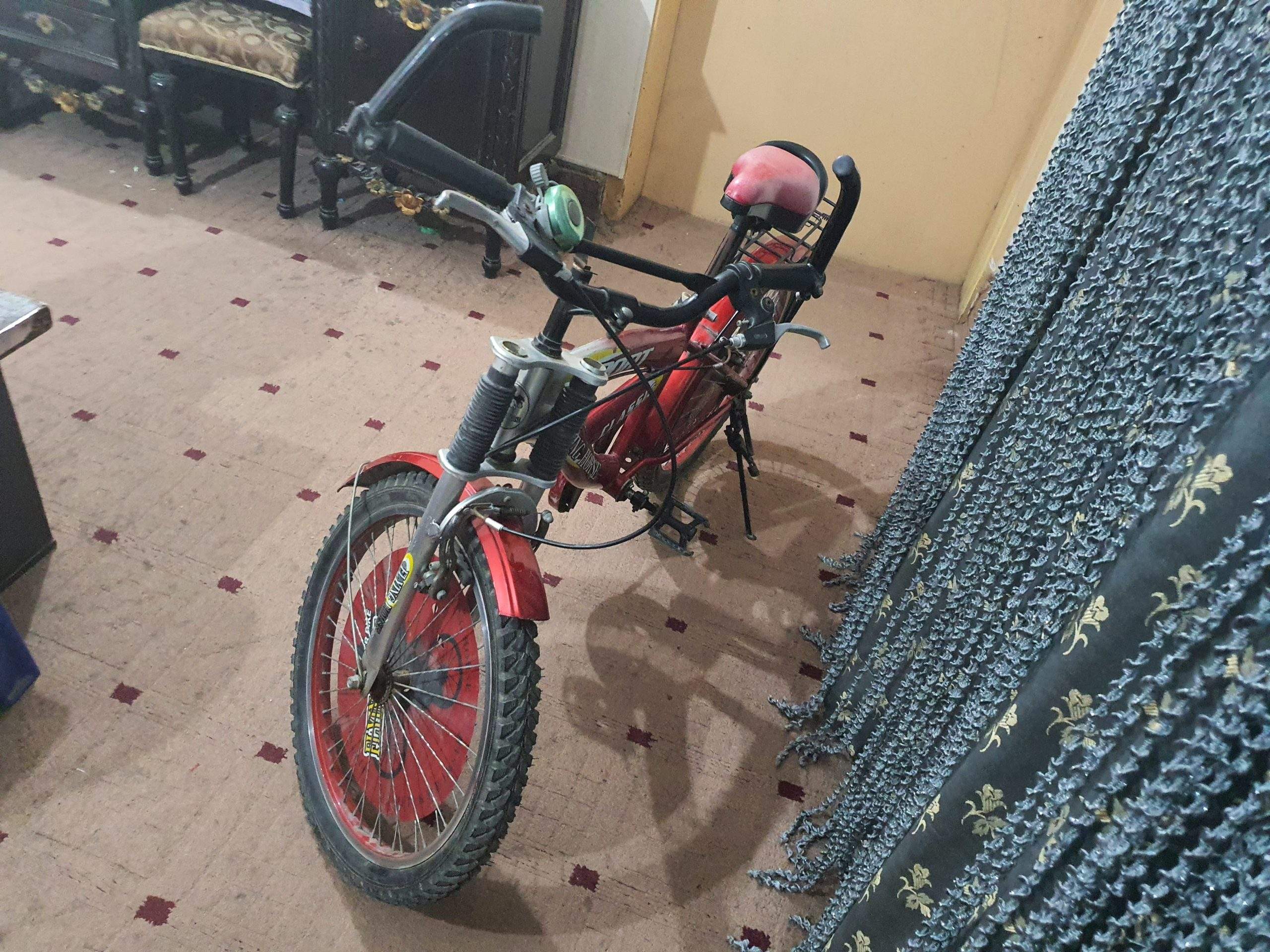 Bicycle by Rozi Shakeel