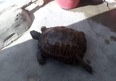 87a365aa-a8fa-4848-8432-4377ffec669e