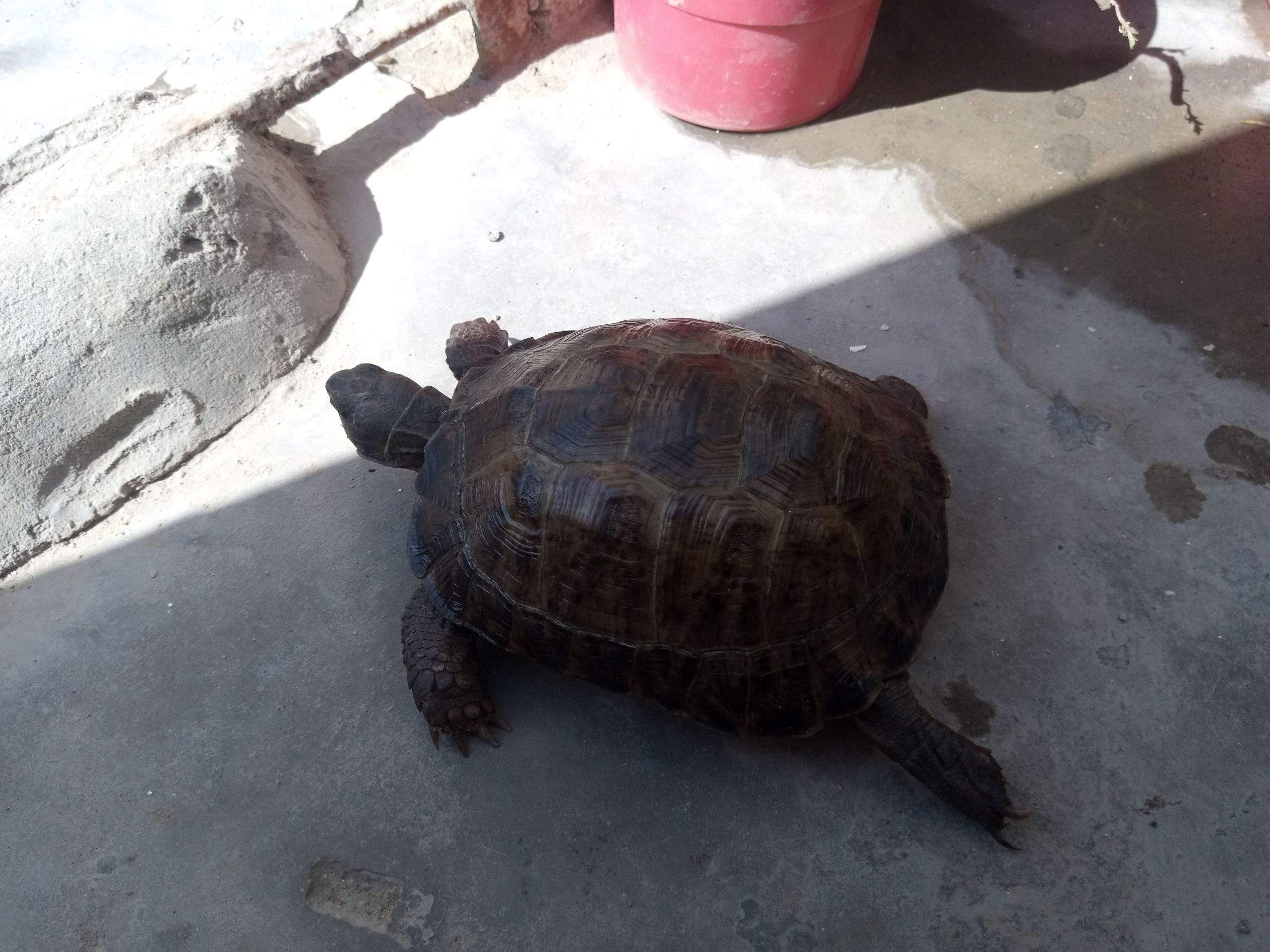 17000 by Saniyal Zaib