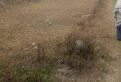 12 Marla cornor plot and good location in mardan city by Sohail shahid