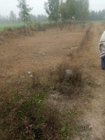 12 Marla cornor plot and good location in mardan city by Sohail shahid