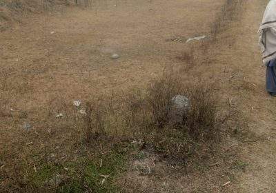 89025d9b-617c-49b5-a600-a4780e0b2c79