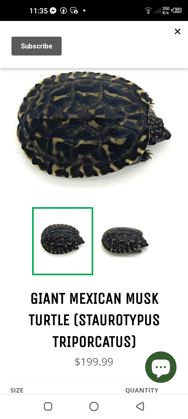 17000 by Saniyal Zaib