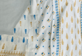 2Pcs Women’s Stitched Linen Printed Suit by Zamin Mahdi