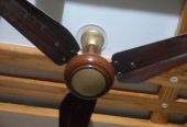 Fan for sale by Salman Baig
