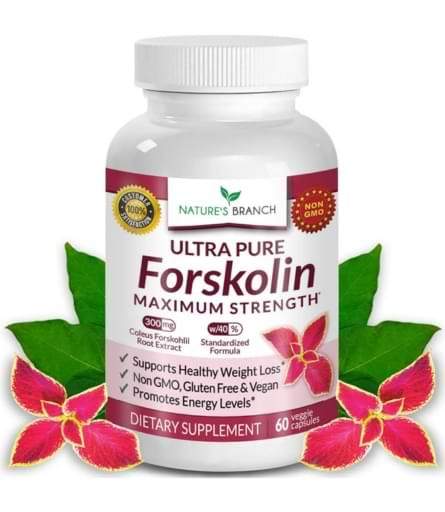 Forskolin for Weight Loss Price in Pakistan Lahore 0322 2636 660 by Online Shop