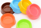 Pet food bowl Small by M. Bilal