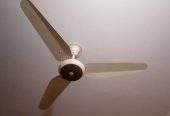 Fan for sale by Salman Baig