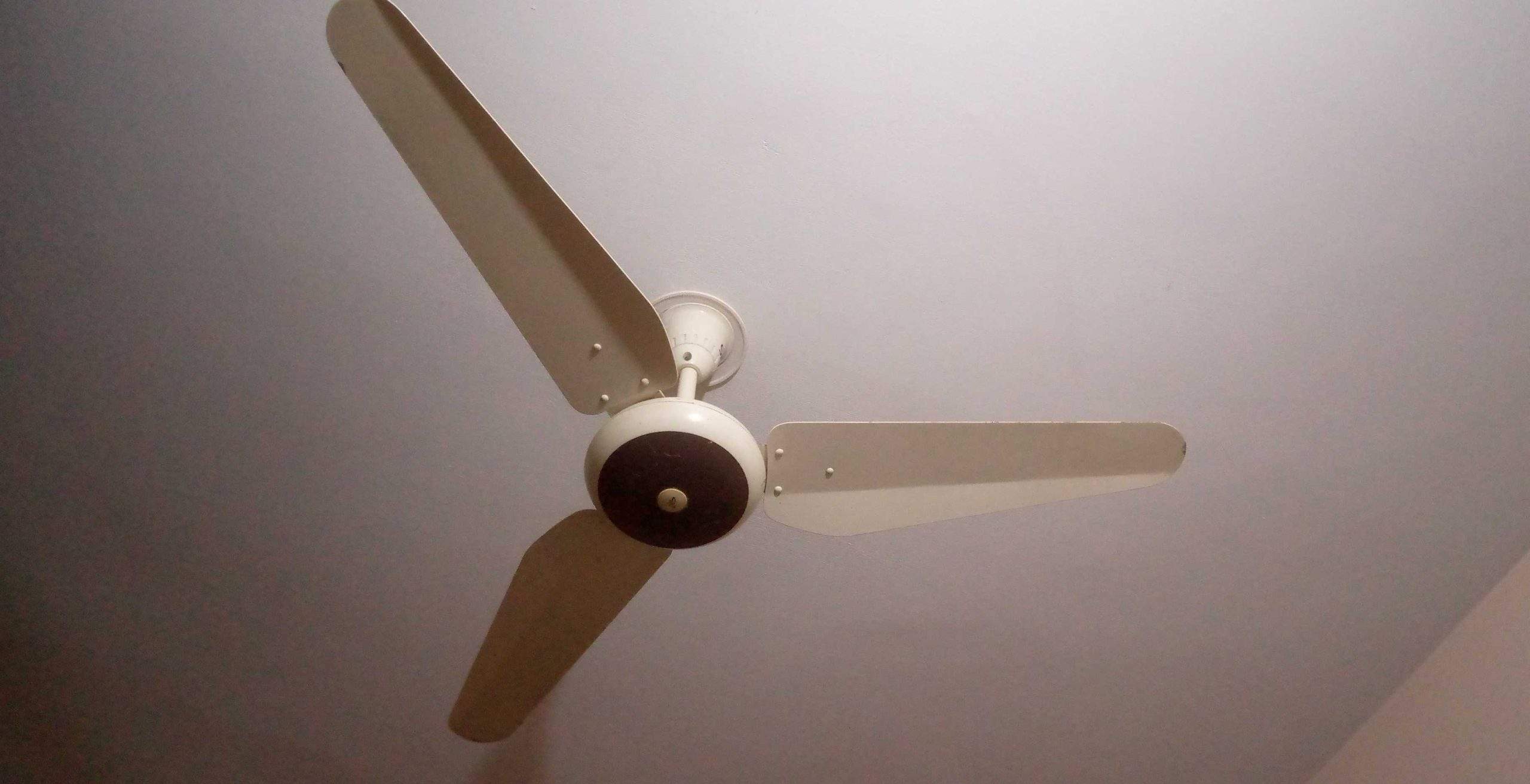 Fan for sale by Salman Baig