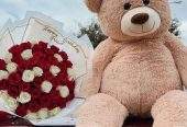 Teddy by Haris Khan