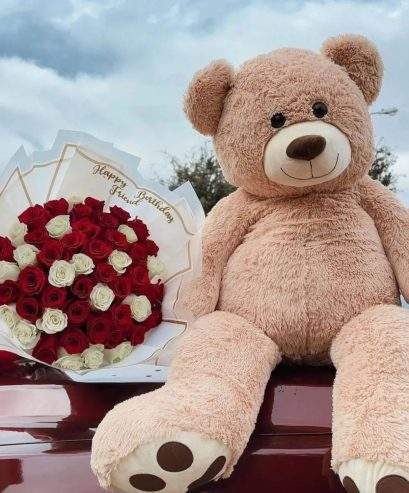 Teddy by Haris Khan