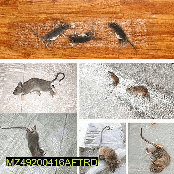 Transparent rat trap magic carpet by Abdul Jabar