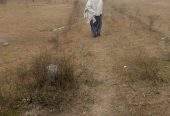 12 Marla cornor plot and good location in mardan city by Sohail shahid