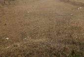 12 Marla cornor plot and good location in mardan city by Sohail shahid