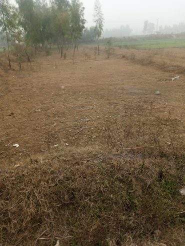12 Marla cornor plot and good location in mardan city by Sohail shahid